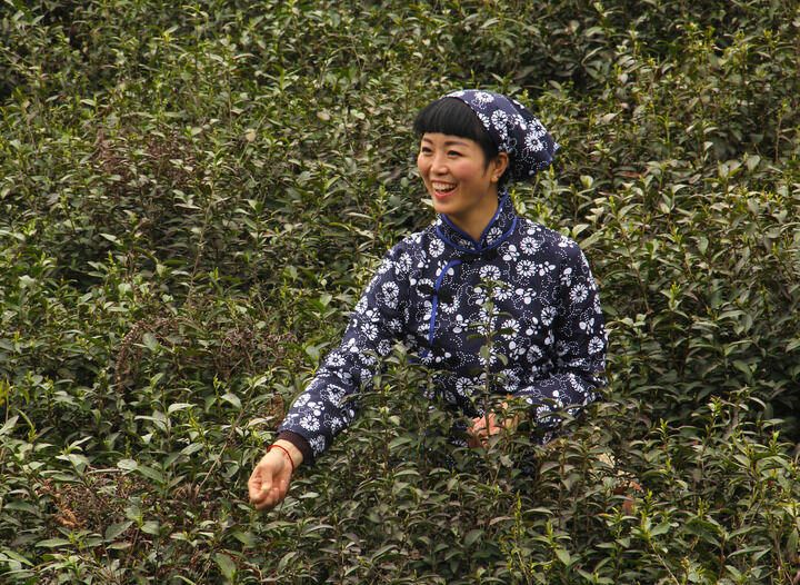 烟雾缭绕